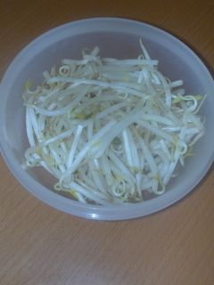 もやしの保存-レシピのメイン写真