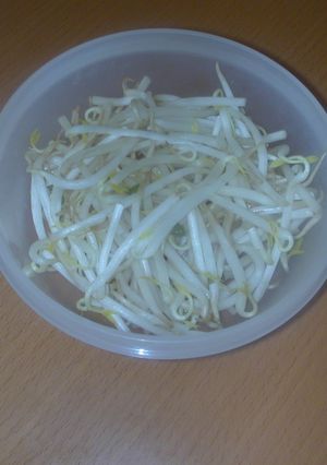 もやしの保存-レシピのメイン写真
