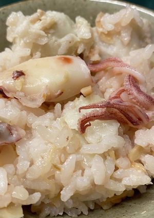 小いかと里芋の炊き込みご飯-レシピのメイン写真