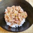 ごはん進んでスタミナ満点!ねぎ塩豚丼!
