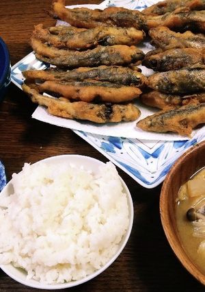 パパの晩御飯Ver.20220929-レシピのメイン写真