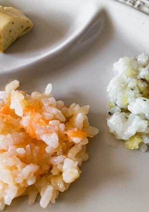 95℃ 離乳食 野菜のおかゆ2種-レシピのメイン写真