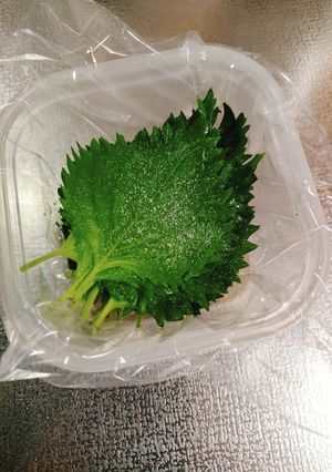 ご飯のお供に☆大葉の塩漬け-レシピのメイン写真