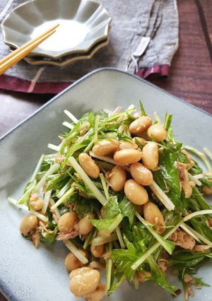 包丁不要！水菜と大豆のシャキうまサラダ-レシピのメイン写真
