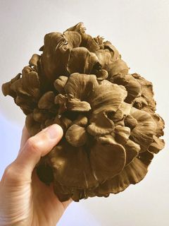 地伏舞茸のホイル焼き-レシピのメイン写真
