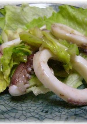 いかと春キャベツの炒め物-レシピのメイン写真