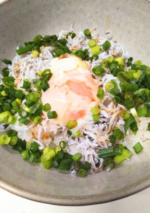 ネギしらす丼（酢飯＆タレも）-レシピのメイン写真