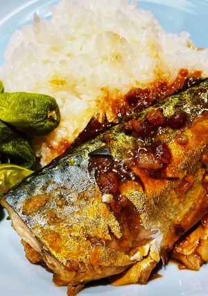 〜鯖の味噌煮〜-レシピのメイン写真