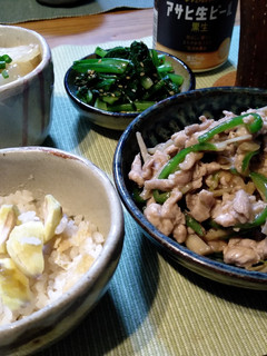 チンジャオロースー風☆ごぼうで-レシピのメイン写真