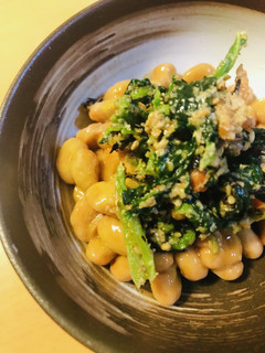 毎日の納豆●お惣菜+●ホウレン草あえと-レシピのメイン写真