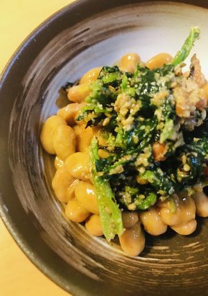 毎日の納豆●お惣菜＋●ホウレン草あえと-レシピのメイン写真