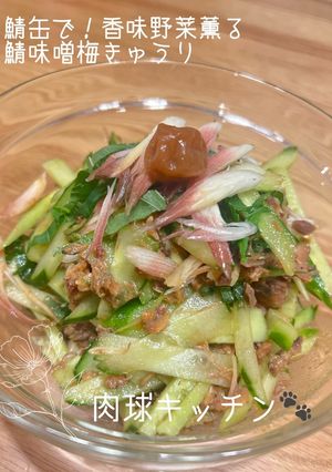 鯖缶で！香味野菜薫る鯖味噌梅きゅうり-レシピのメイン写真