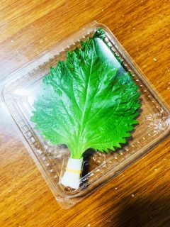 大葉の保存方法!-レシピのメイン写真