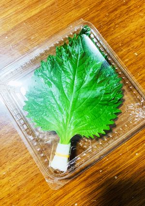 大葉の保存方法！-レシピのメイン写真