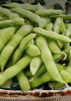 【5分茹でるだけ】枝豆の茹で方-レシピのメイン写真