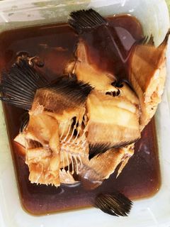 用意するのは2つだけ!カレイ煮付け-レシピのメイン写真