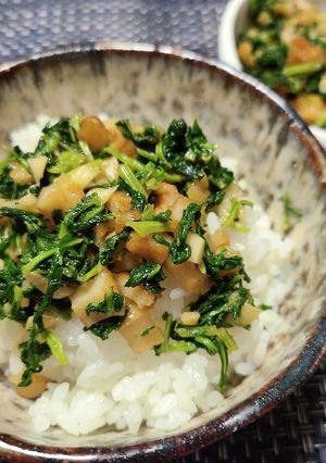 生姜菜飯のもと-レシピのメイン写真
