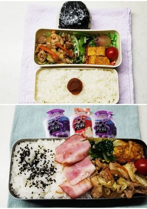 野菜炒め弁当(10.6)-レシピのメイン写真