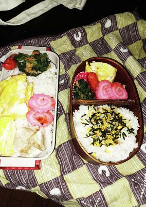 今日のムスコ弁当55-レシピのメイン写真
