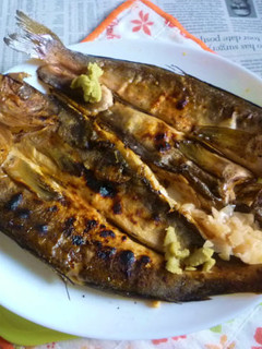 ほっけの開き(灰干し)の網焼きのタパス-レシピのメイン写真