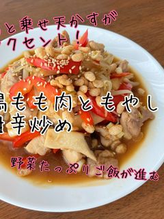 鶏もも肉ともやしの甘辛炒め♪-レシピのメイン写真