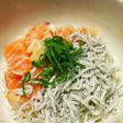 ご飯がススム!ねぎ塩サーモン