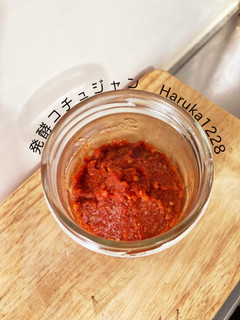 発酵コチュジャン-レシピのメイン写真