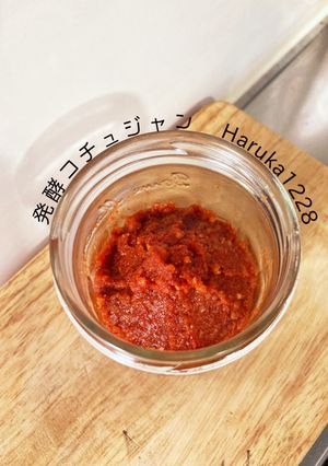 発酵コチュジャン-レシピのメイン写真