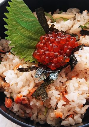 鮭の親子丼-レシピのメイン写真