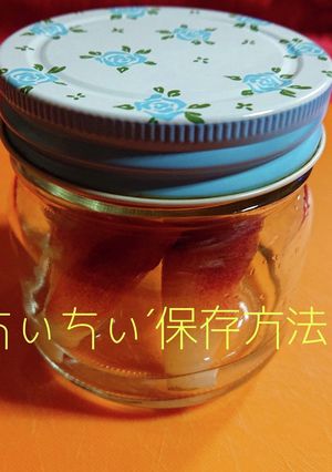 ミョウガの保存方法-レシピのメイン写真