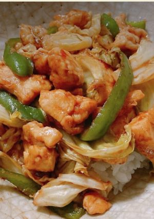 鶏むね肉のホイコーロー丼-レシピのメイン写真