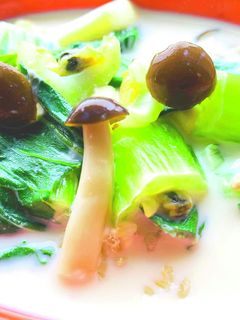 ほっこり!青梗菜のミルクシチュー♡-レシピのメイン写真