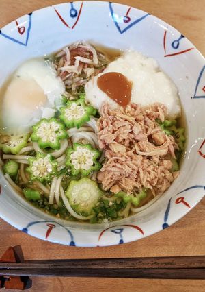 オクラ大好き　ネバネバうどん-レシピのメイン写真