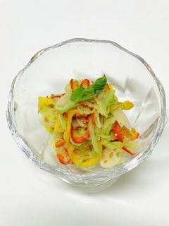 レンジで2分!キャベツとパプリカのサラダ-レシピのメイン写真