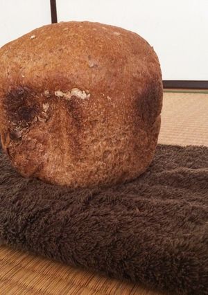 HBで簡単♪ ごま入り全粒粉フランスパン-レシピのメイン写真