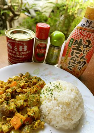コロコロきのこのドライカレー-レシピのメイン写真