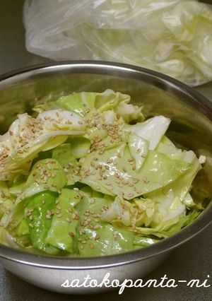 ビニール袋で混ぜる簡単やみつきキャベツ★-レシピのメイン写真