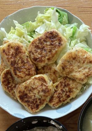 ダイエット餃子-レシピのメイン写真