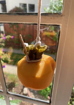干し柿の隠し技-レシピのメイン写真