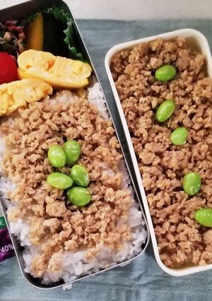 そぼろ丼弁当(10.12)-レシピのメイン写真