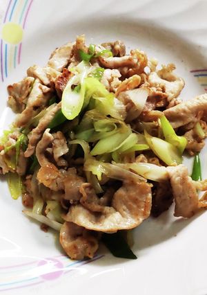簡単ご飯が進むネギ塩豚-レシピのメイン写真