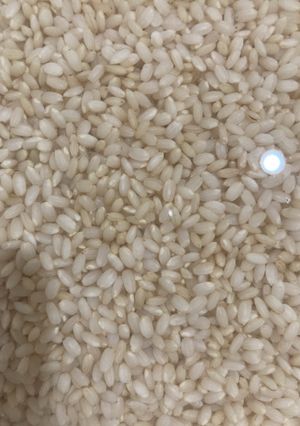 玄米＋白米＋オートミールご飯(5合炊き)-レシピのメイン写真