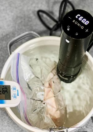 60℃ 鶏むね肉 温度上昇モニタリング-レシピのメイン写真