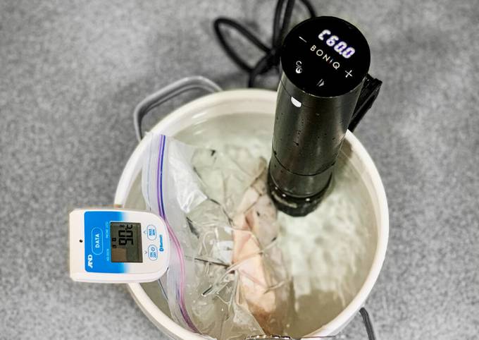 葉山社中 BONIQ低温調理器シルキーホワイト BNQ-01（WH）（直送品