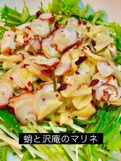 No3094蛸と沢庵のマリネ-レシピのメイン写真