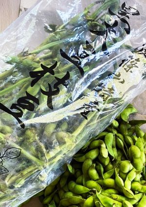 枝豆茹でるよ！-レシピのメイン写真