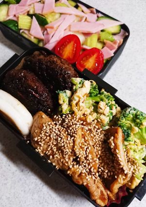 お弁当盛り付け(9)-レシピのメイン写真