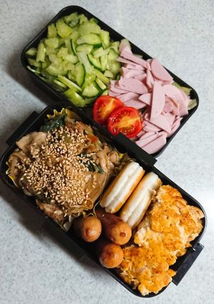 お弁当盛り付け(10)-レシピのメイン写真