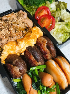 お弁当盛り付け(20)-レシピのメイン写真