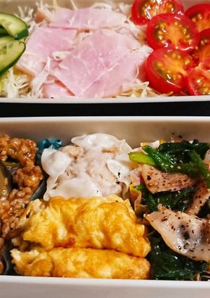 お弁当盛り付け(28)-レシピのメイン写真